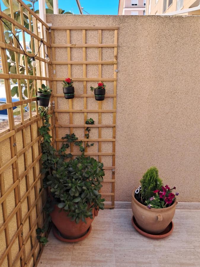 Apartamento Dama De Guardamar Apartment Guardamar del Segura Exterior foto